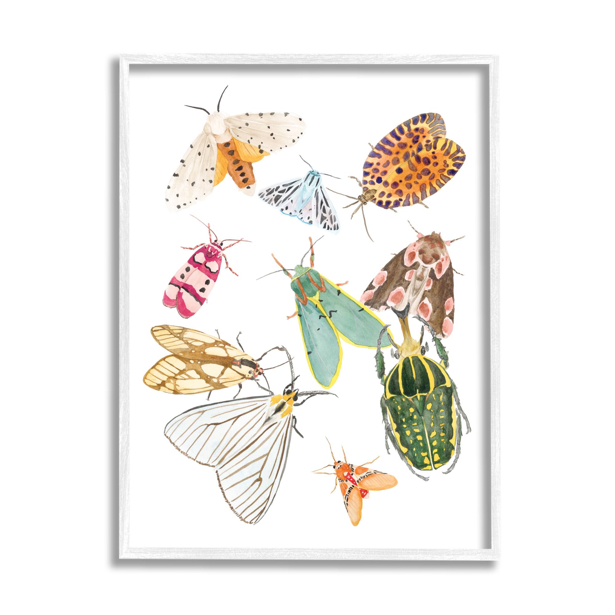 Stupell Industries Winged Insect Group Tropical Color Bugs in White Frame Wall Art